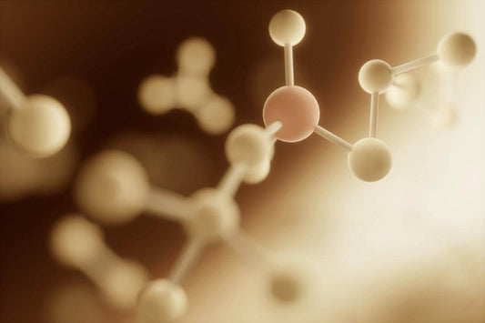 What is Collagen, and Why is it Essential for Healthy, Youthful Skin? - ENDLESS PURE