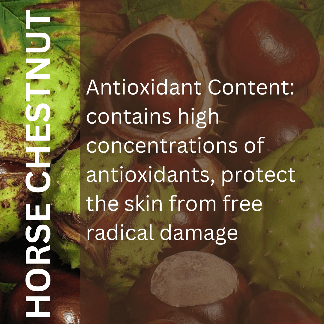 Peptide Smoothing Eye Cream - ENDLESS PURE