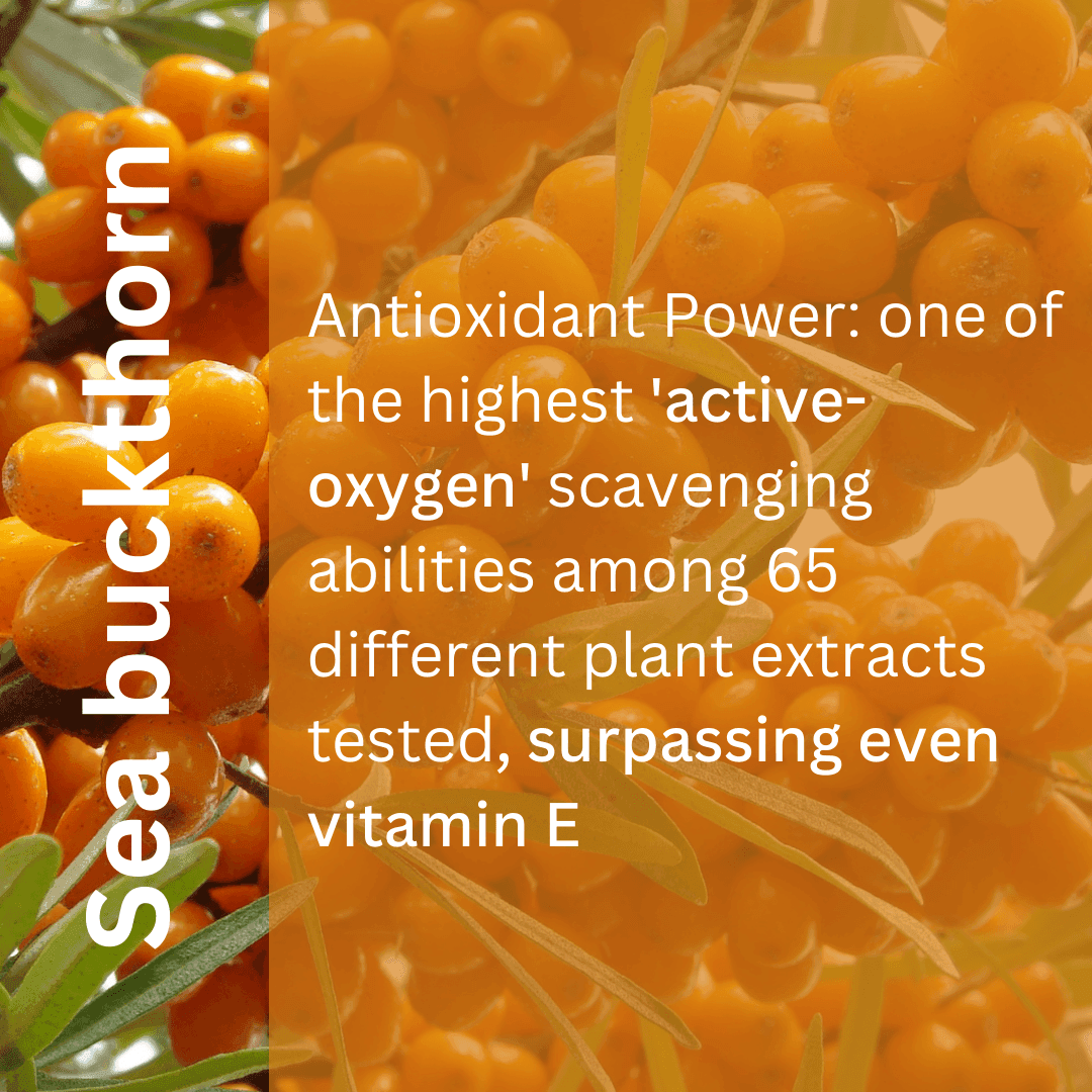 Mineral sunscreen with tint, SPF30 - ENDLESS PURE