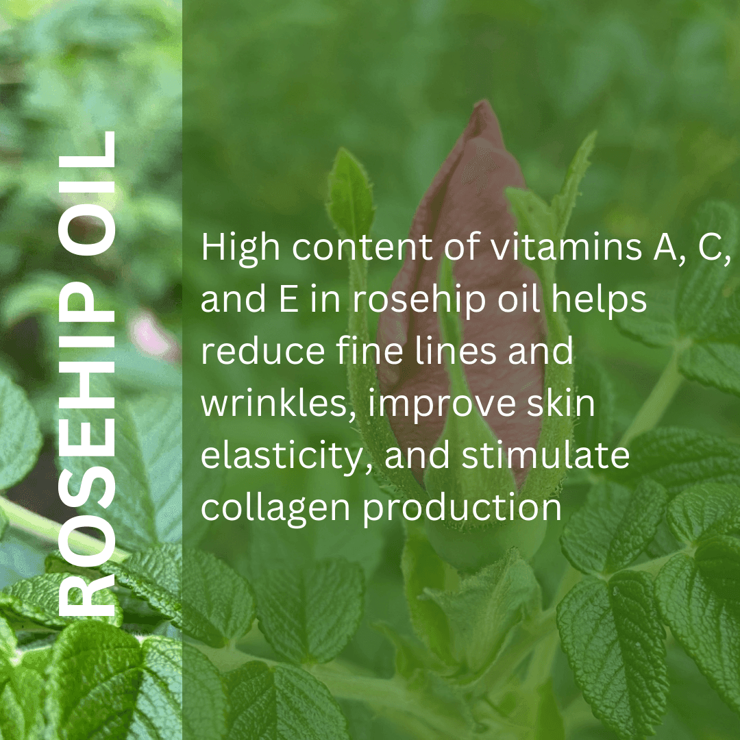 Bakuchiol Serum - ENDLESS PURE