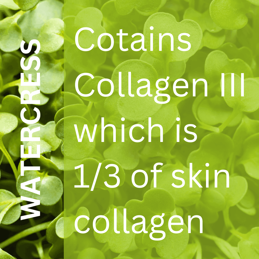 Collagen Boost Serum - ENDLESS PURE