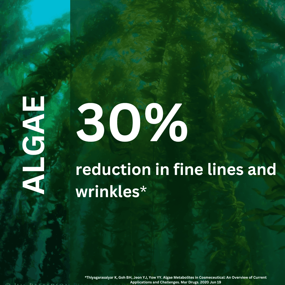 Collagen Anti-Age Night Cream - ENDLESS PURE